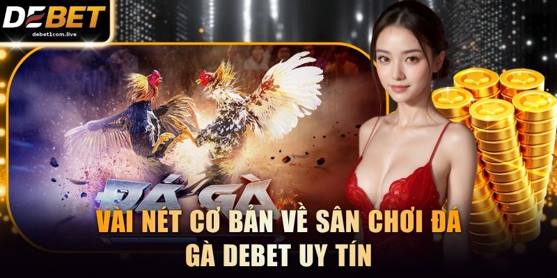 Vài nét cơ bản về sân chơi đá gà DEBET uy tín